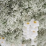 Уляна Даценко #4639