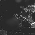 Женька Мед #4161