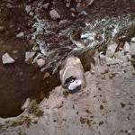 Костянтин Манцевич #4401