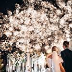 Олександр Висоцький #3135