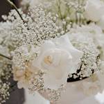 Вікторія  Ярошенко #10086