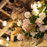 Вікторія  Ярошенко #10086